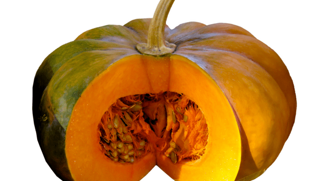 Pumpkin Properties