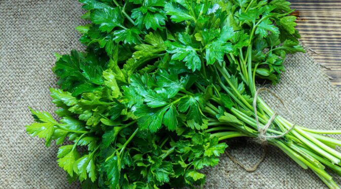 Parsley a perfect ally to prevent type 2 diabetes